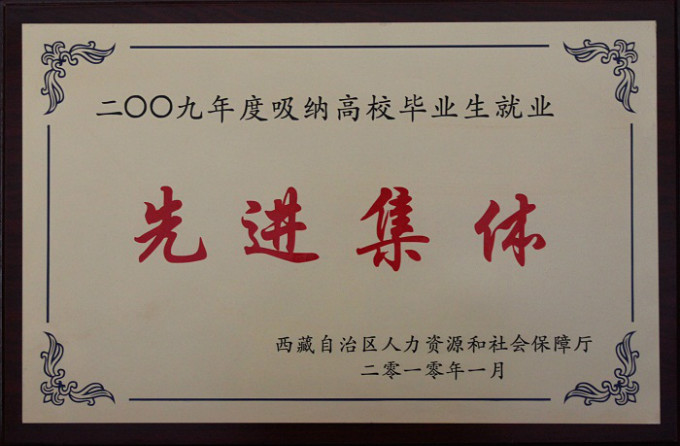 2009吸納高校畢業(yè)生就業(yè)先進集體