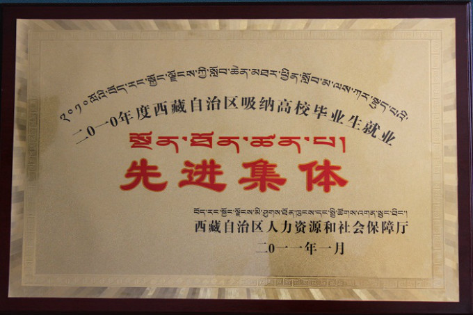 2010吸納高校就業(yè)先進集體